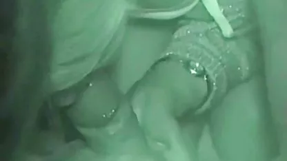 لهستانی, عکس سگسی سوپر تراشیده گربه